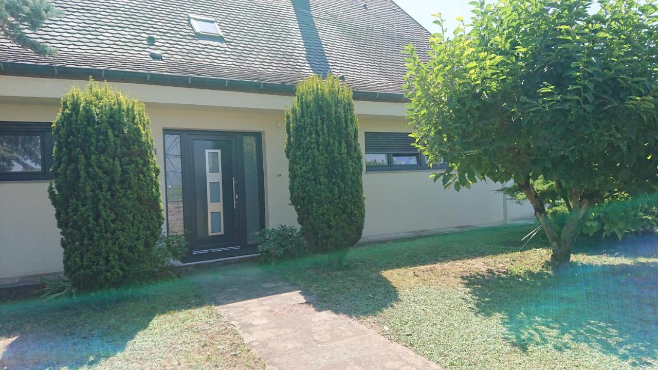 Logement Entier: Route Des Vins.Wintzenheim Apartman Kültér fotó